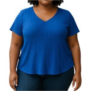 Amazon Blue Ribbed V-Neck Lightweight Sweater Short Sleeve Stretch Plus Size 2XL